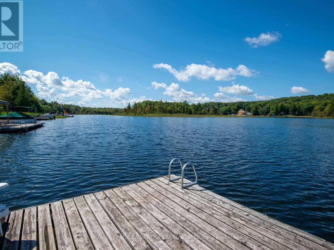 34 Deweys Island, Cameron Lake