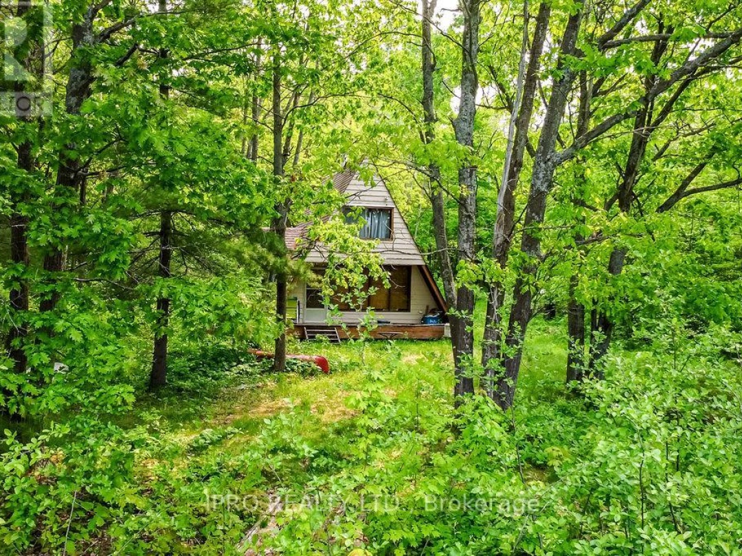 382 Corrievale Road, Little Lake