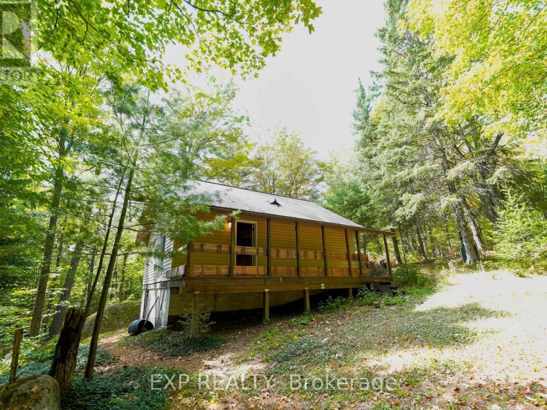 10282 COUNTY ROAD 503, 