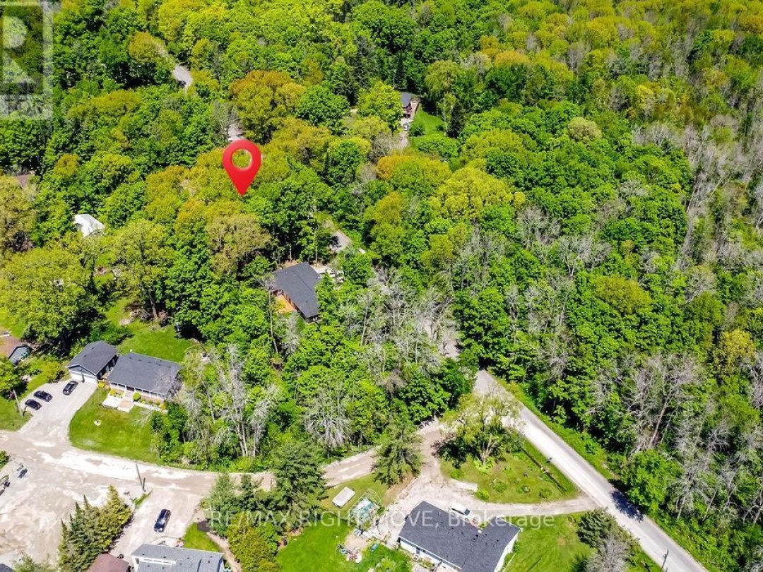 1656 Trader Cowan Road, Severn