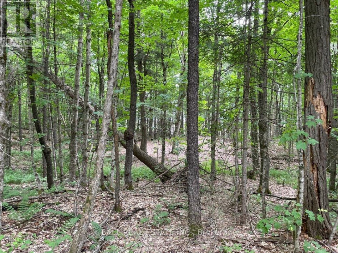 1350 HALIBURTON LAKE RD,