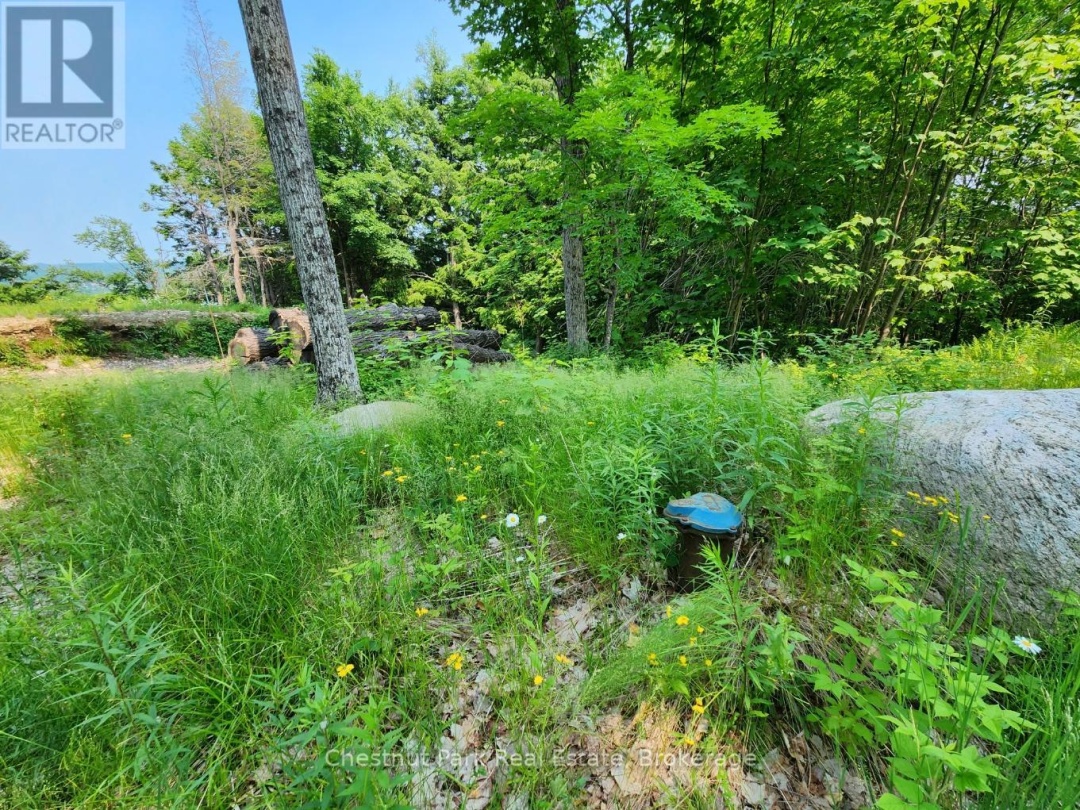 19 OLD HEMLOCK TRAIL, 