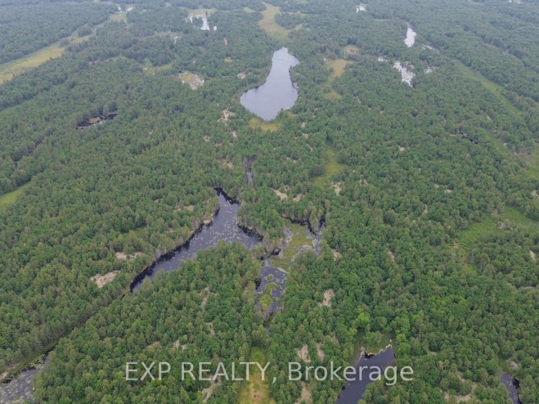 3950 Severn River Shore, Trent Severn