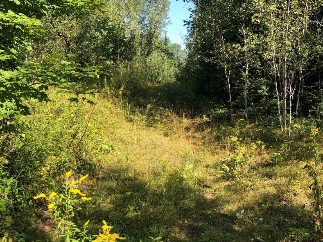 LOT 6-10 MOON ROAD, 