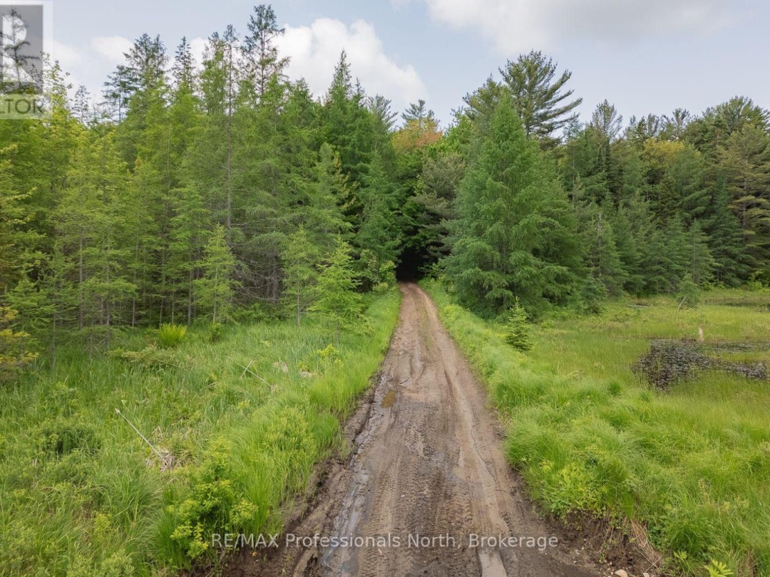 LOT 20 - 6 CONCESSION, 