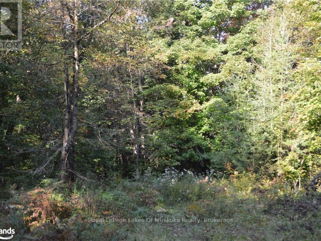 LOT 20 CONCESSION 5 ROAD, 
