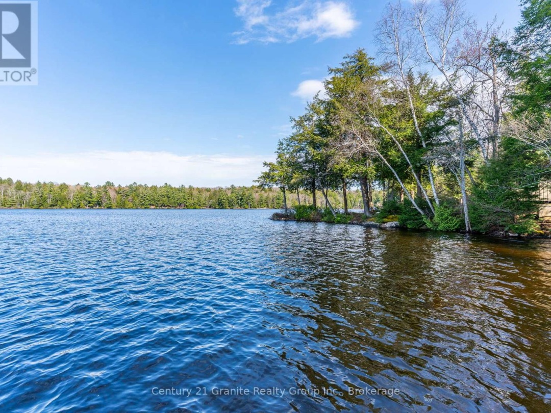 1027 Heney Trail, Big Hawk Lake