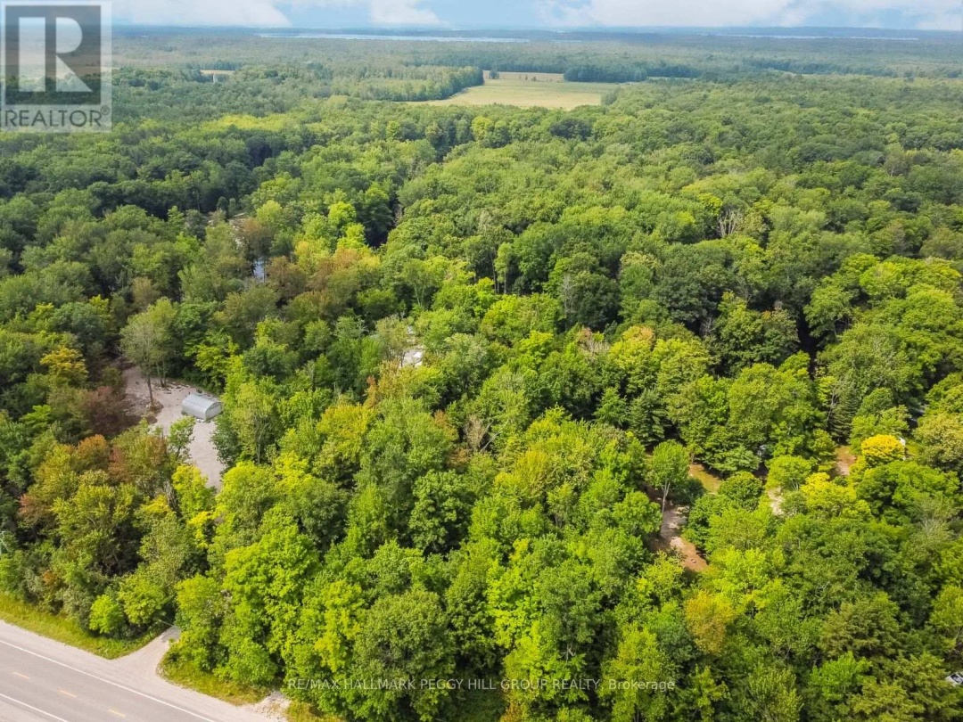 7012 COUNTY ROAD 169, 