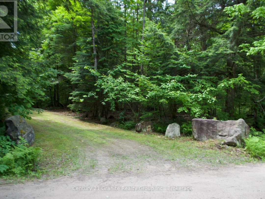LOT 10 LOON LAKE ROAD S, 