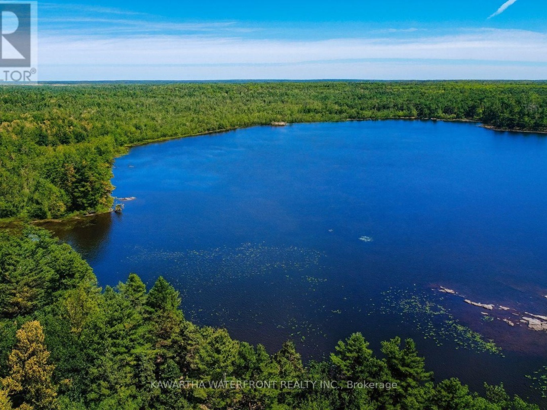 388 NORTH SHORE RD ROAD, 