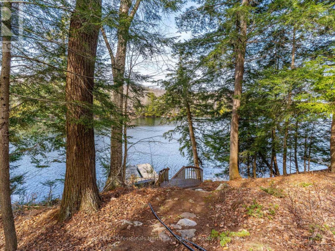 1117 Mink Road, Long Lake