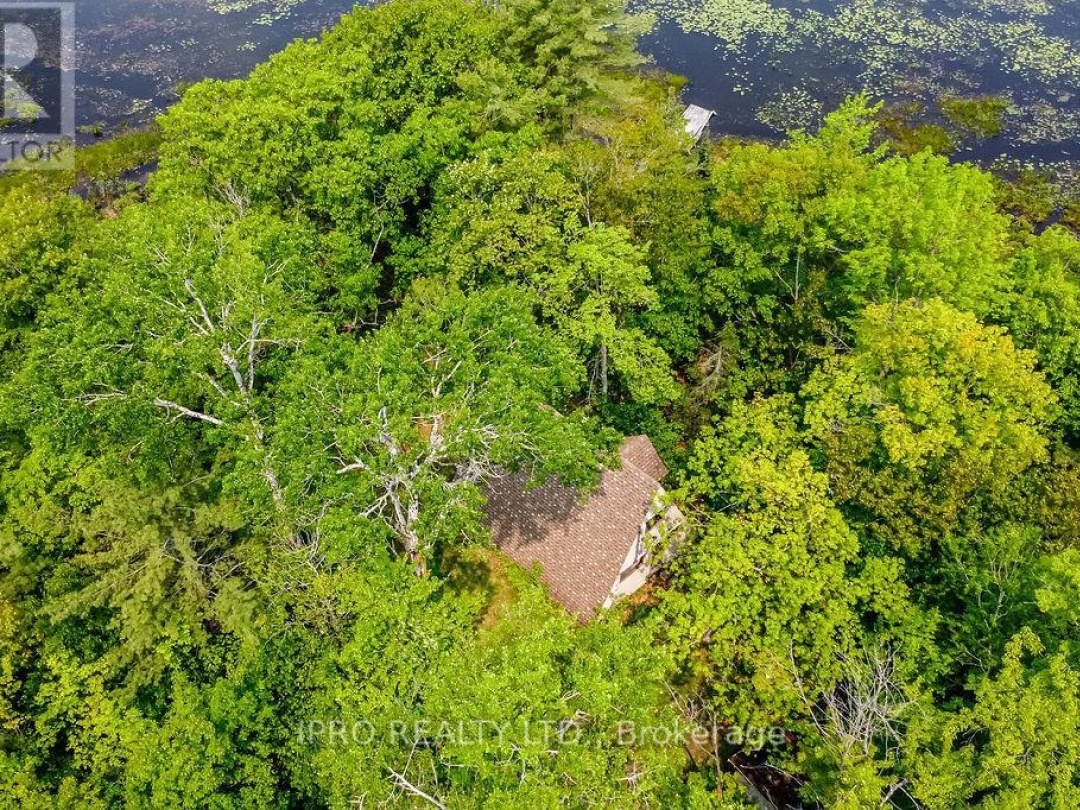 382 Corrievale Road, Little Lake