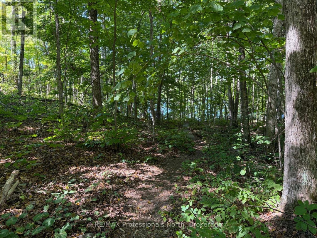 1025 MANITOU ROAD, Little Dudmon Lake
