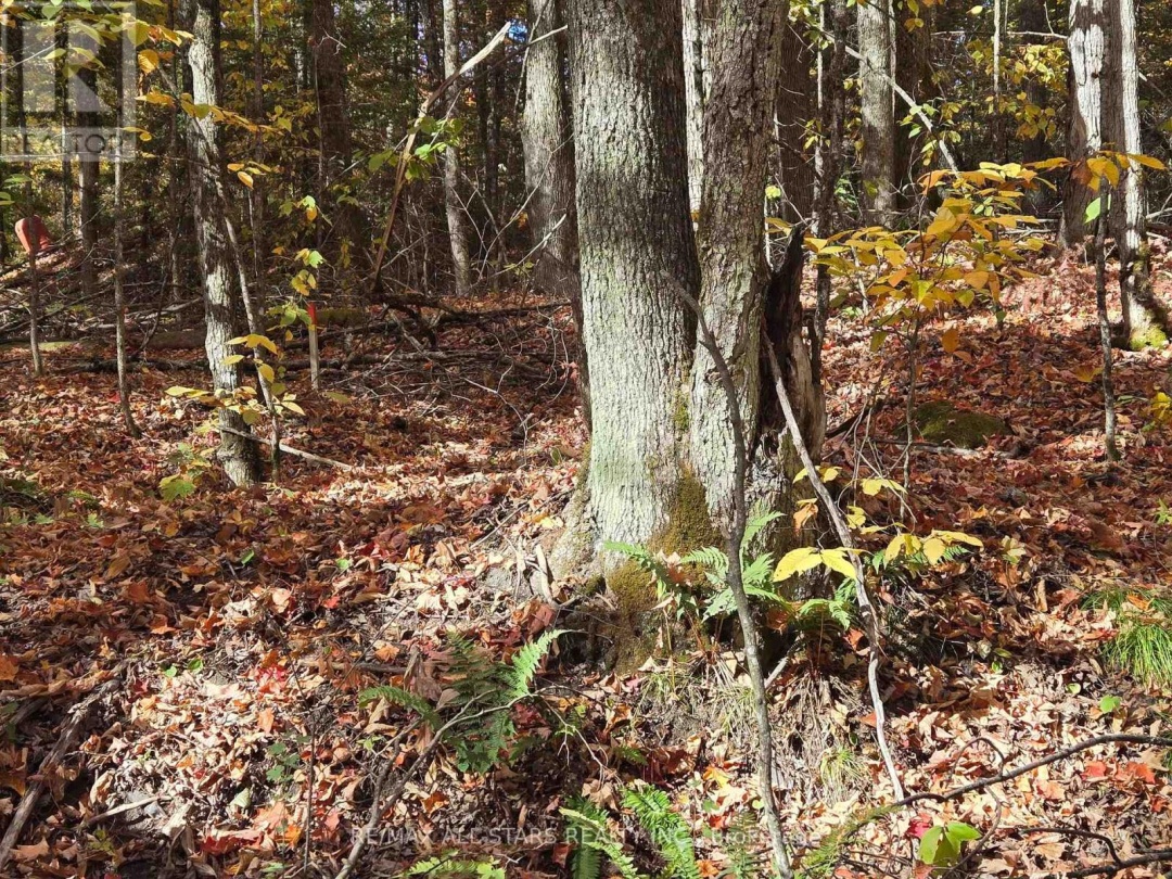 0 SALERNO LAKE ROAD, 