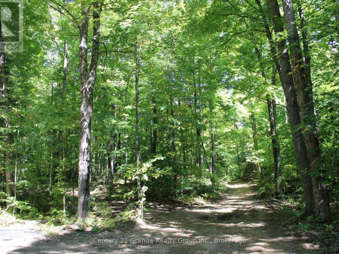 1295 BINSCARTH TRAIL, 