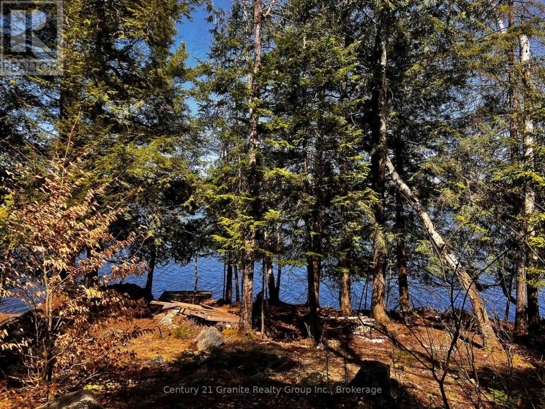 1208 Reg's Trail, Drag Lake