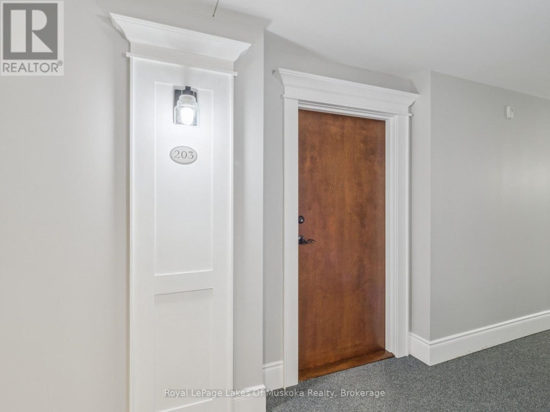 203 - 391B MANITOBA STREET, 