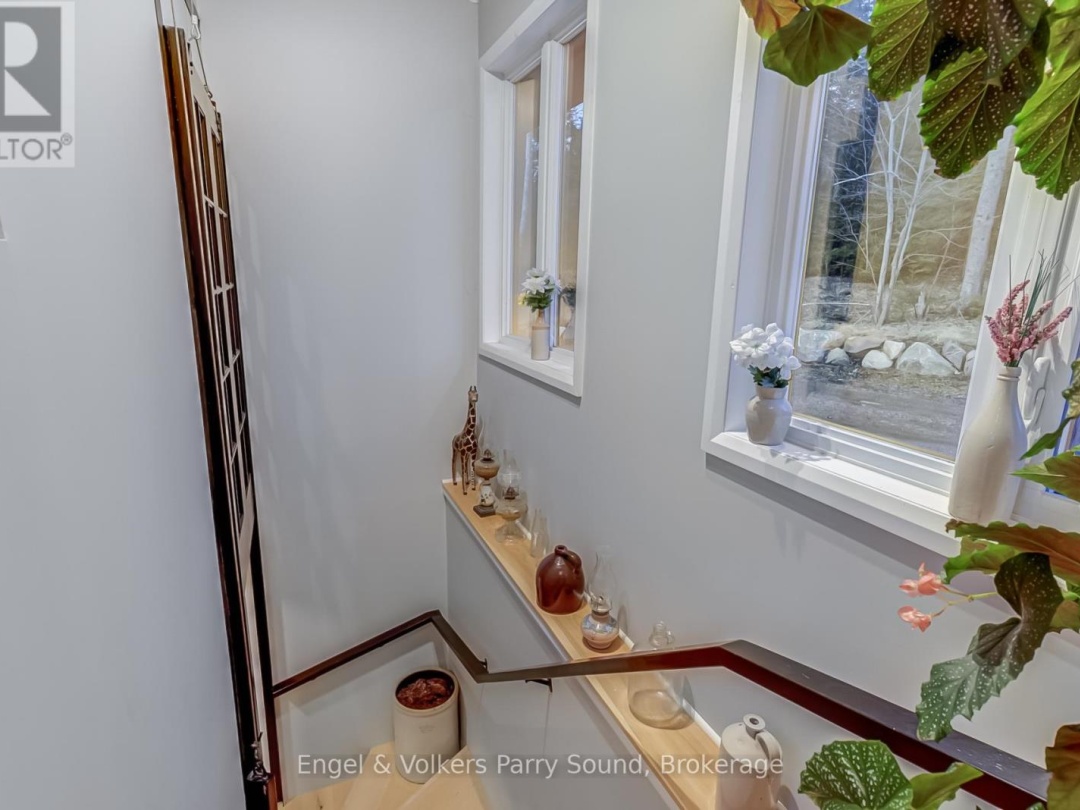 49 Cemetery Road, Seguin