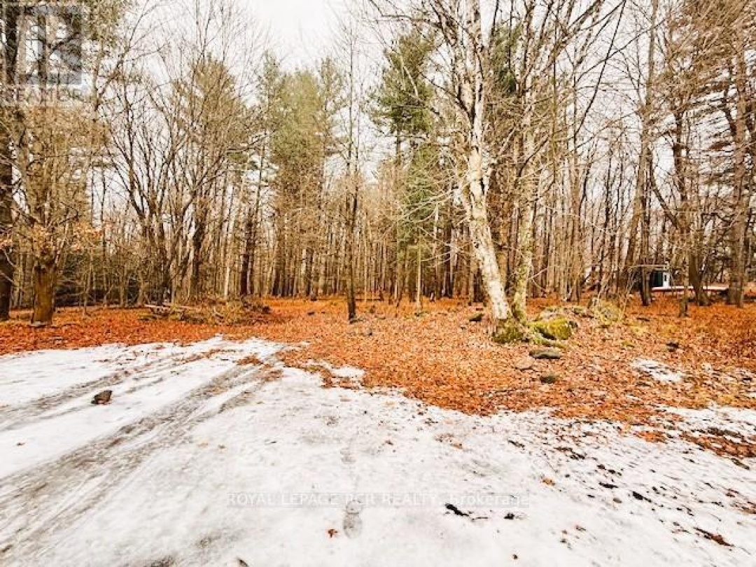 89 TOWN LINE ROAD W, 