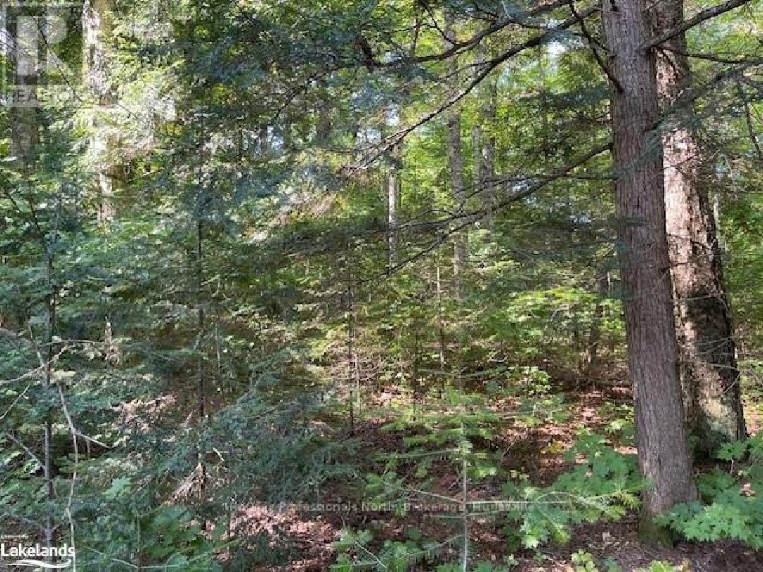 1448 2 West Oxbow Lake Road, Oxbow Lake