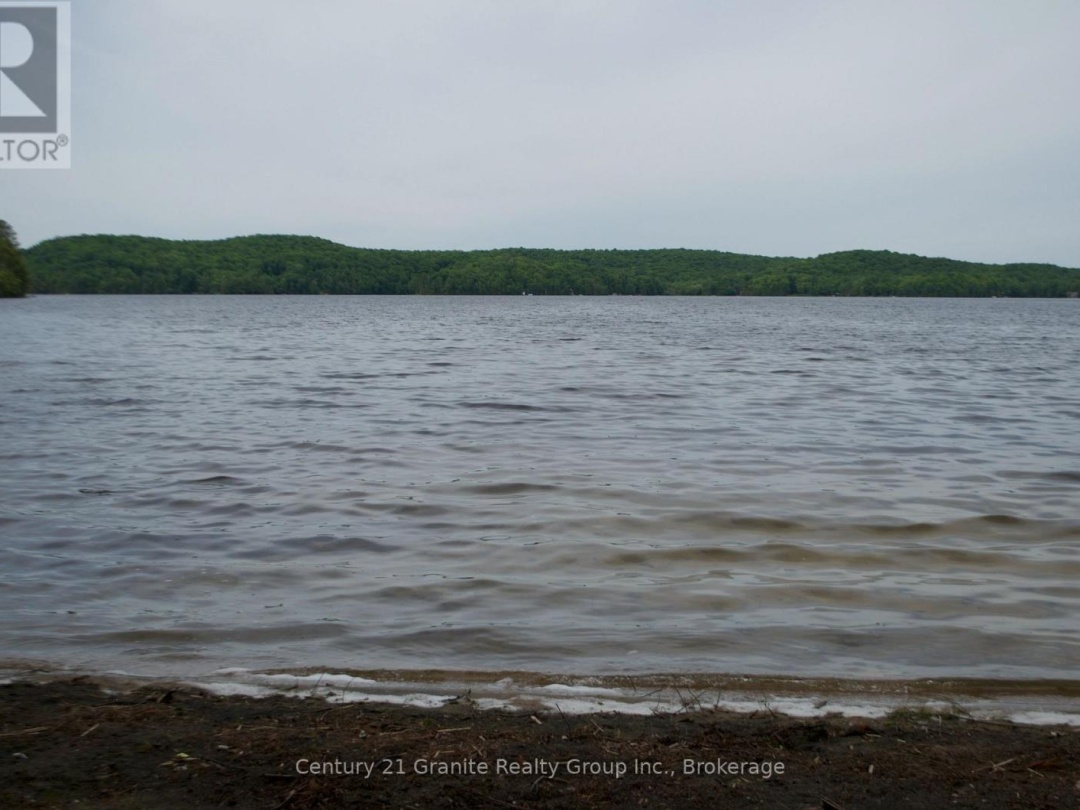 LOT 10 LOON LAKE ROAD S, 