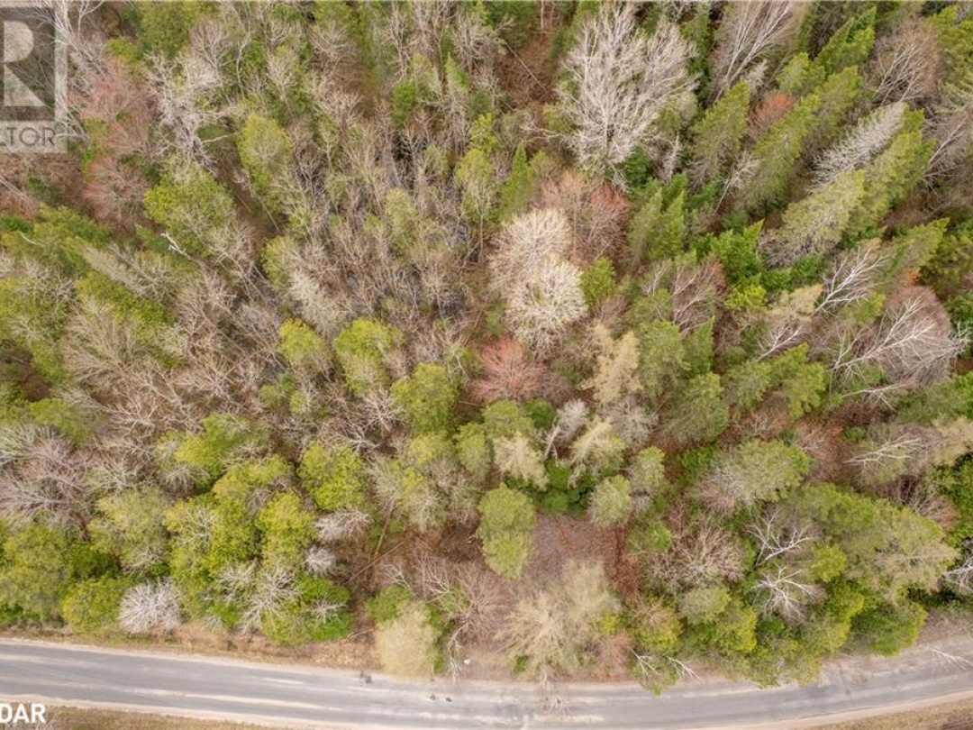 1272 URSA Road, Haliburton