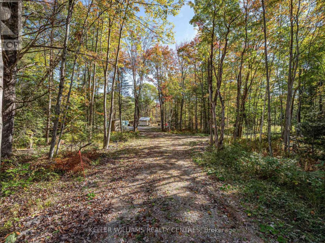 3124 SOUTHWOOD ROAD, 