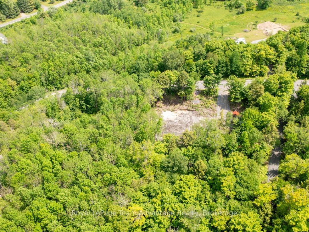 40 SUNNYSHORE PARK DRIVE, 