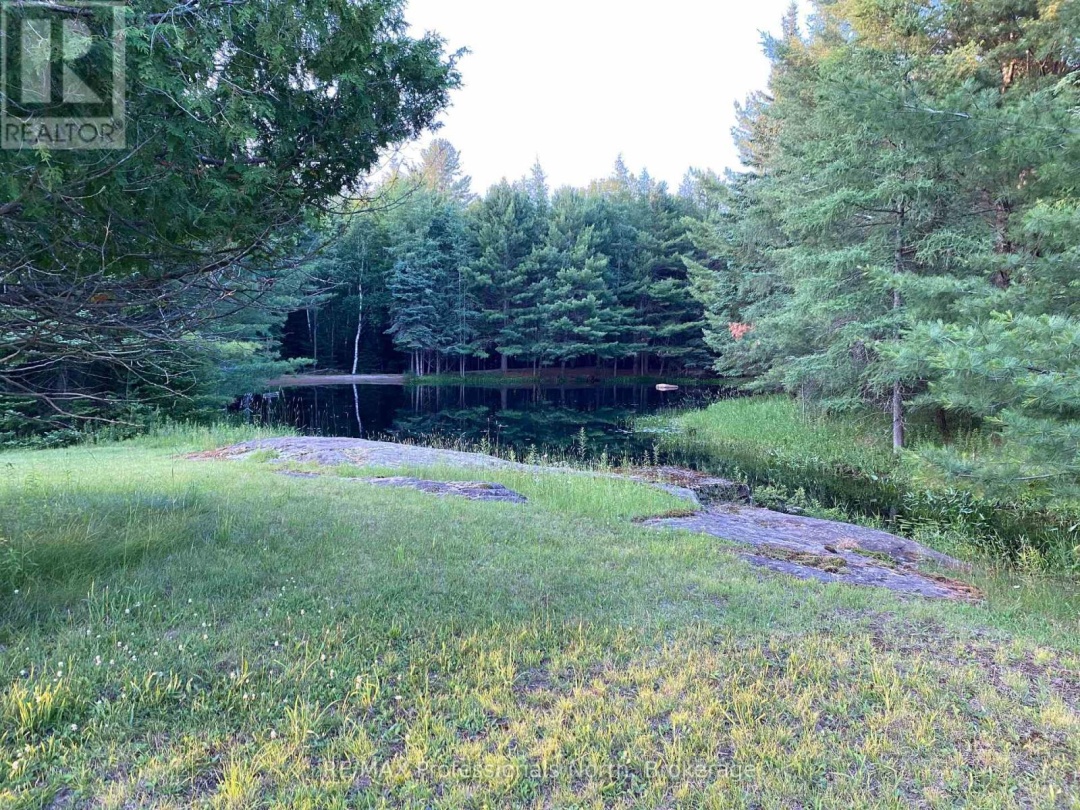 204 MINERAL SPRINGS ROAD, 