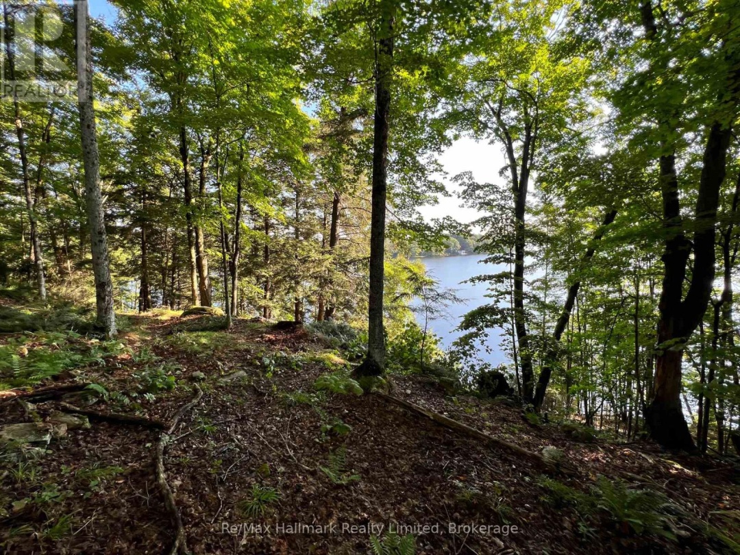 171 Town Line Road E, Fairy Lake