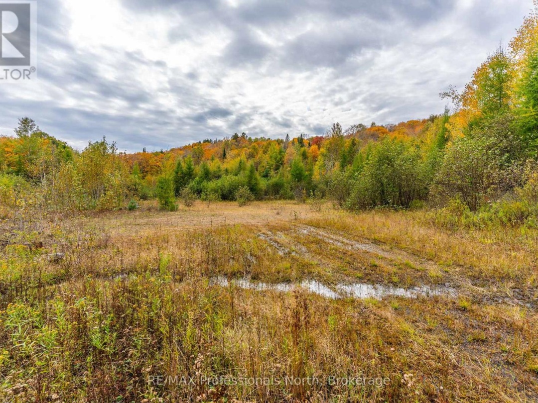 1600 BOBCAYGEON ROAD, 