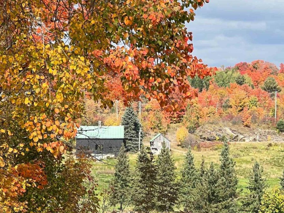 231 Hilltop Grandview Drive, Fairy Lake