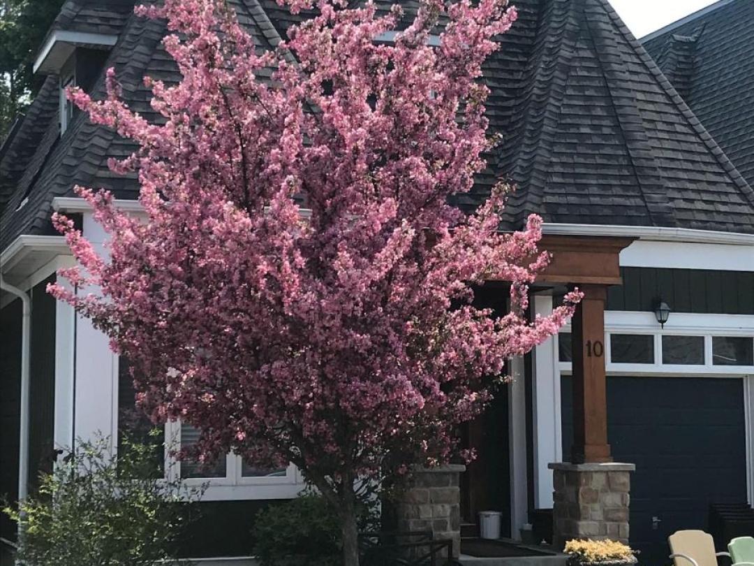 10 - 10 INVERMARA COURT, Lake Simcoe