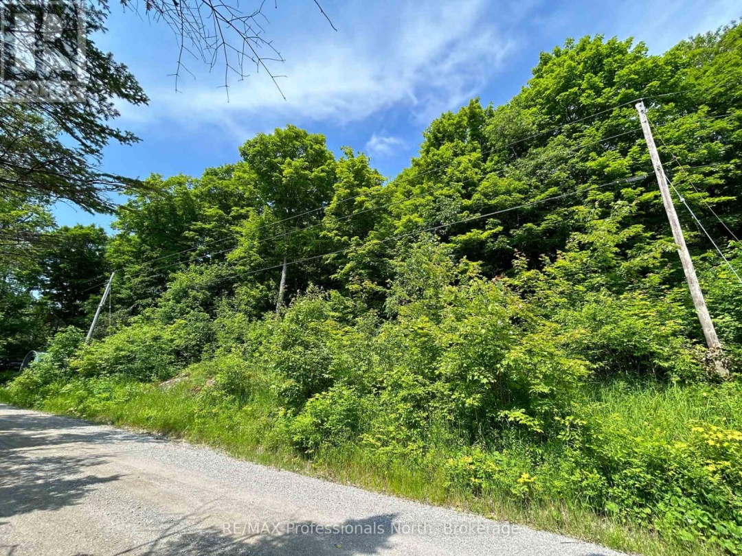 0 Brady Lake Road, Brady Lake
