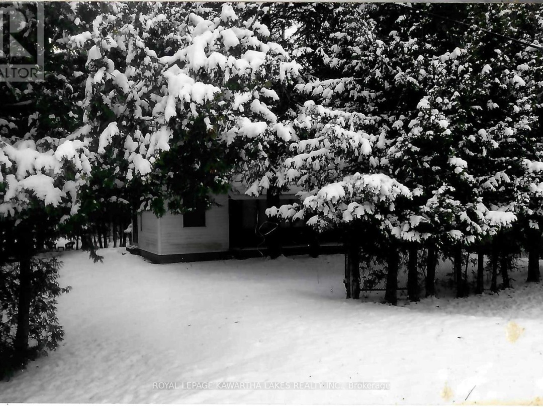 81 Mcguire Beach Road, Trent-severn Waterway