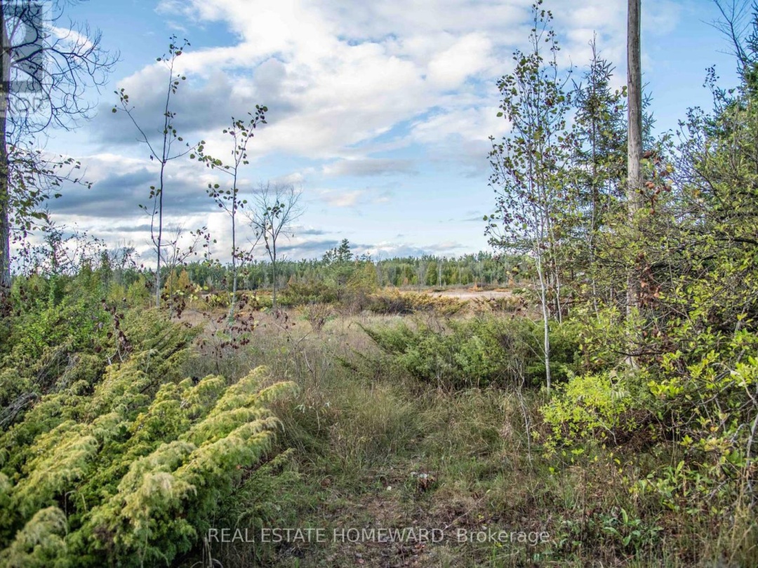 LOT 254 MCGUIRE BEACH ROAD, 