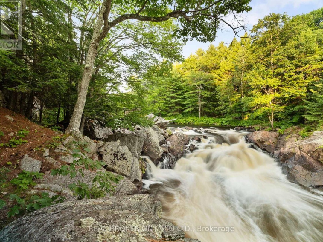 1401 Coopers Falls Road, Black Lake