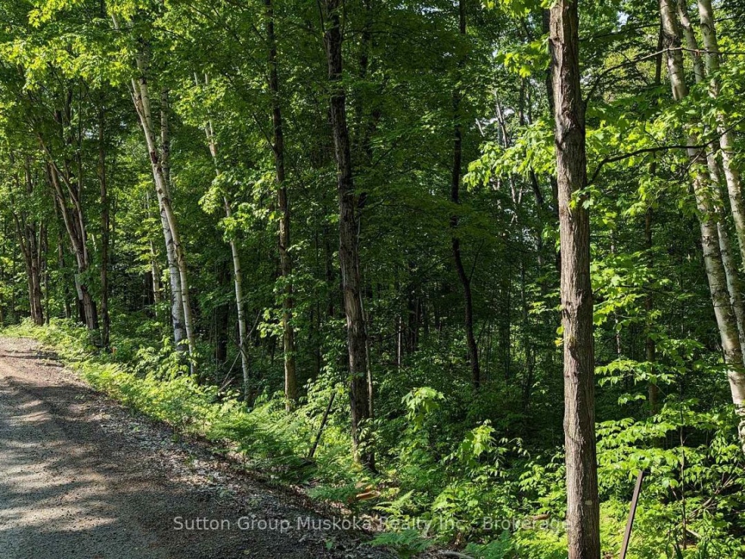 LOT 1 TALLY-HO WINTER PARK ROAD,