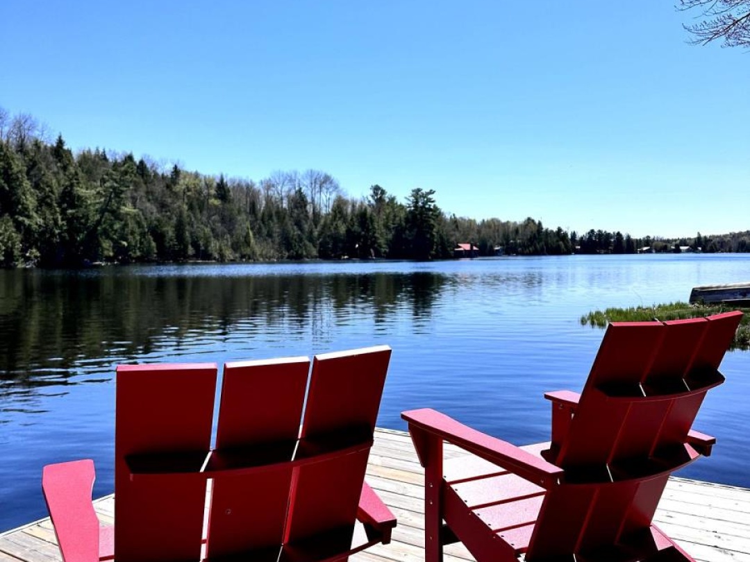 1025 Dickies Lane, Gooderham Lake