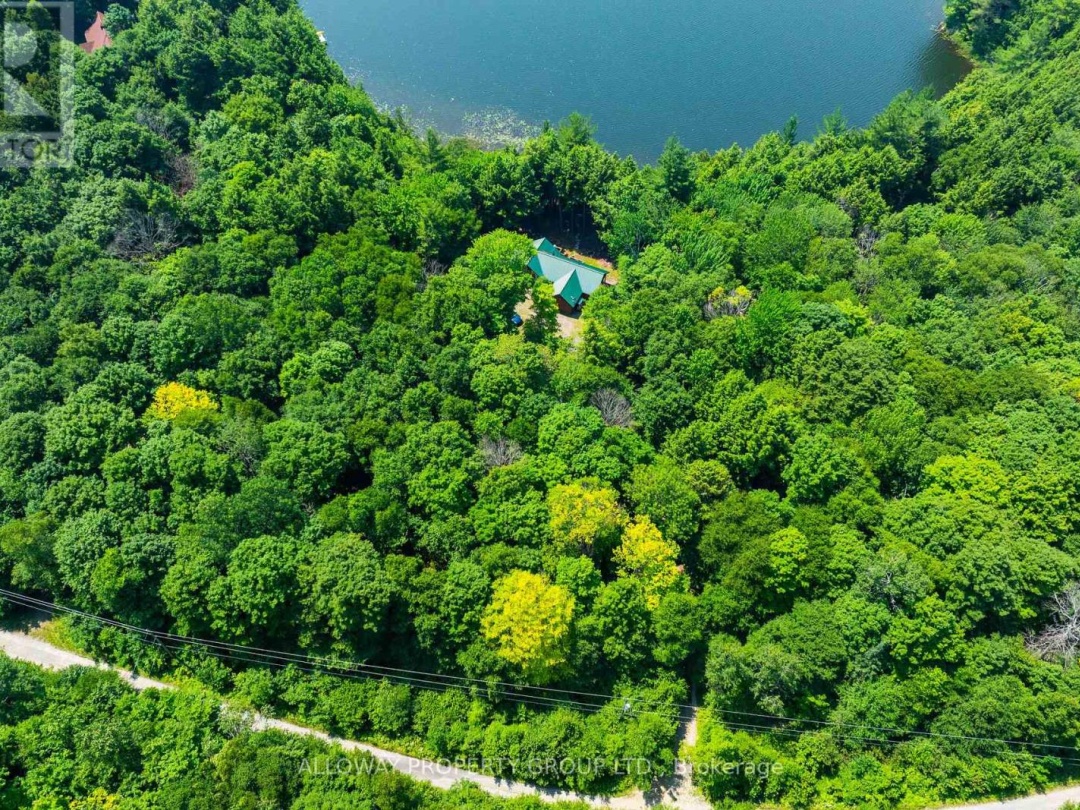 1211 BIRCHY LAKE DRIVE, 
