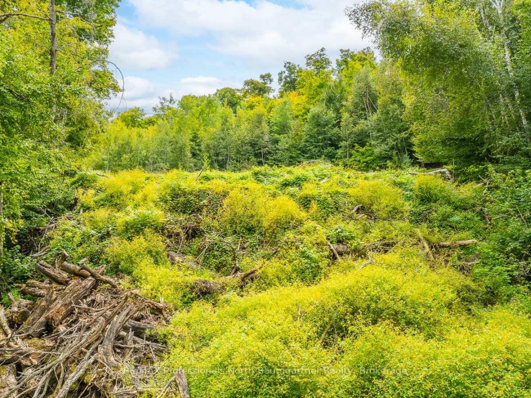 0 ADELINE TRAIL TRAIL, 