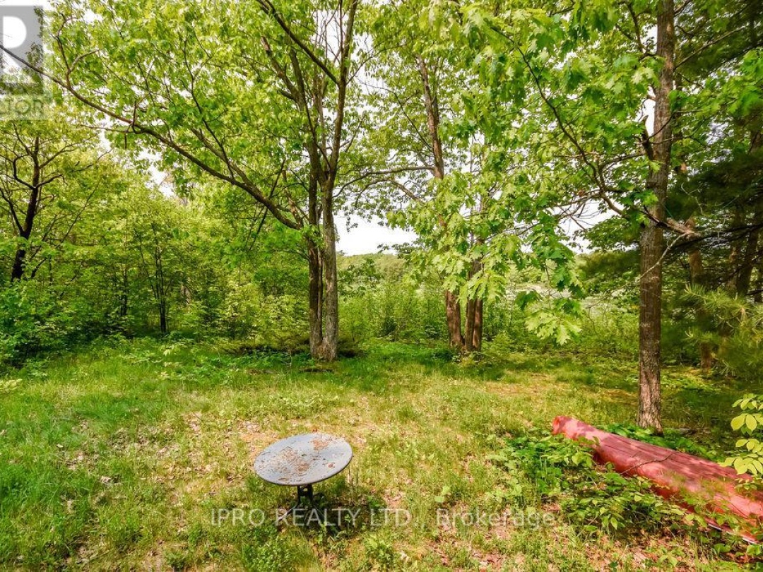 382 Corrievale Road, Little Lake