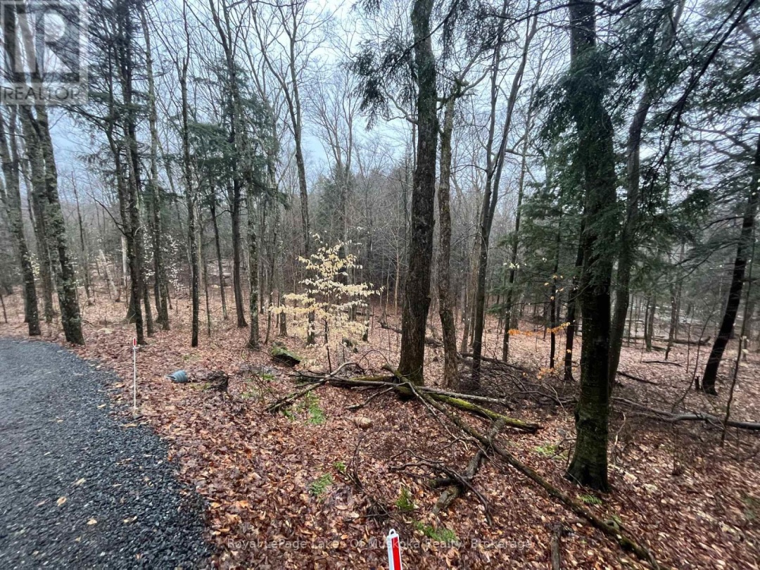 Lot 90 Lookout Point Road, Lake Vernon