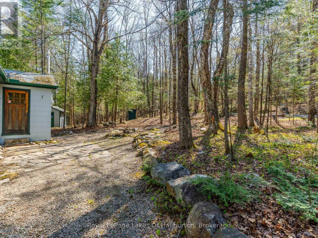 1096 Reg's Trail, Drag Lake