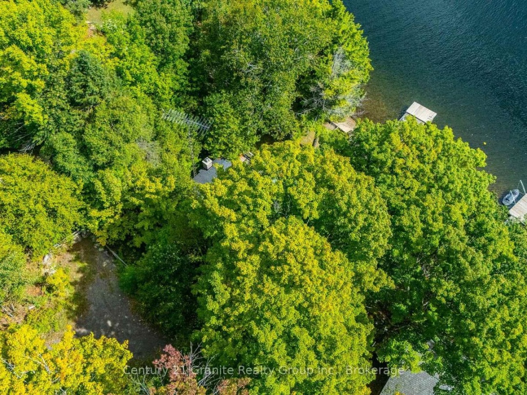 1291 SHANAHAN TRAIL, 