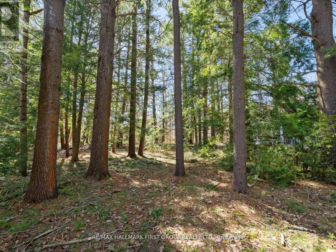 3070 Sparrow Lake Road S, Severn