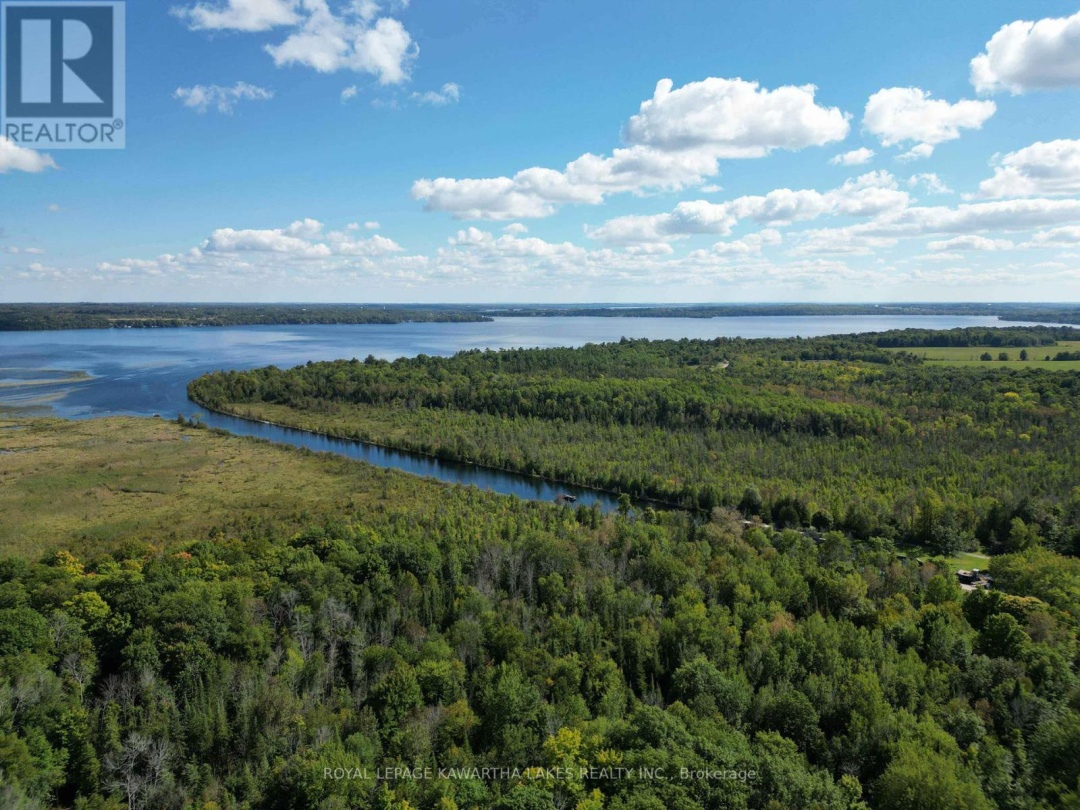 34 Deweys Island, Cameron Lake