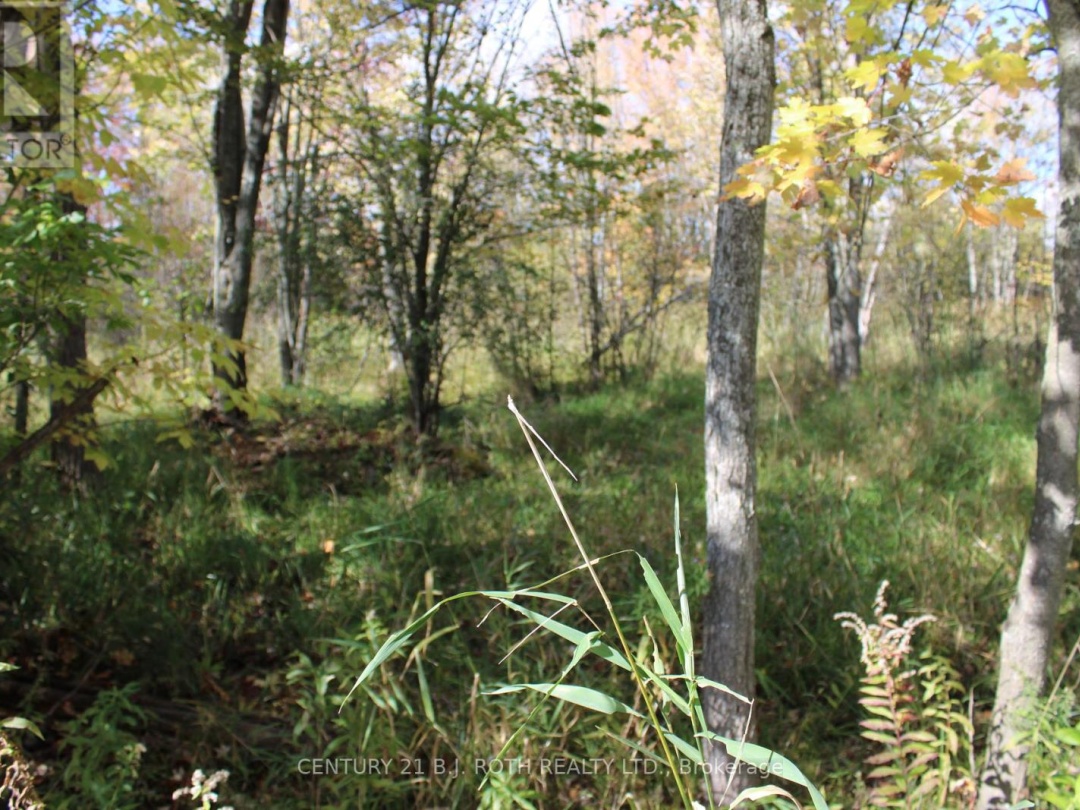 388 WOODLAND DRIVE, Oro-Medonte