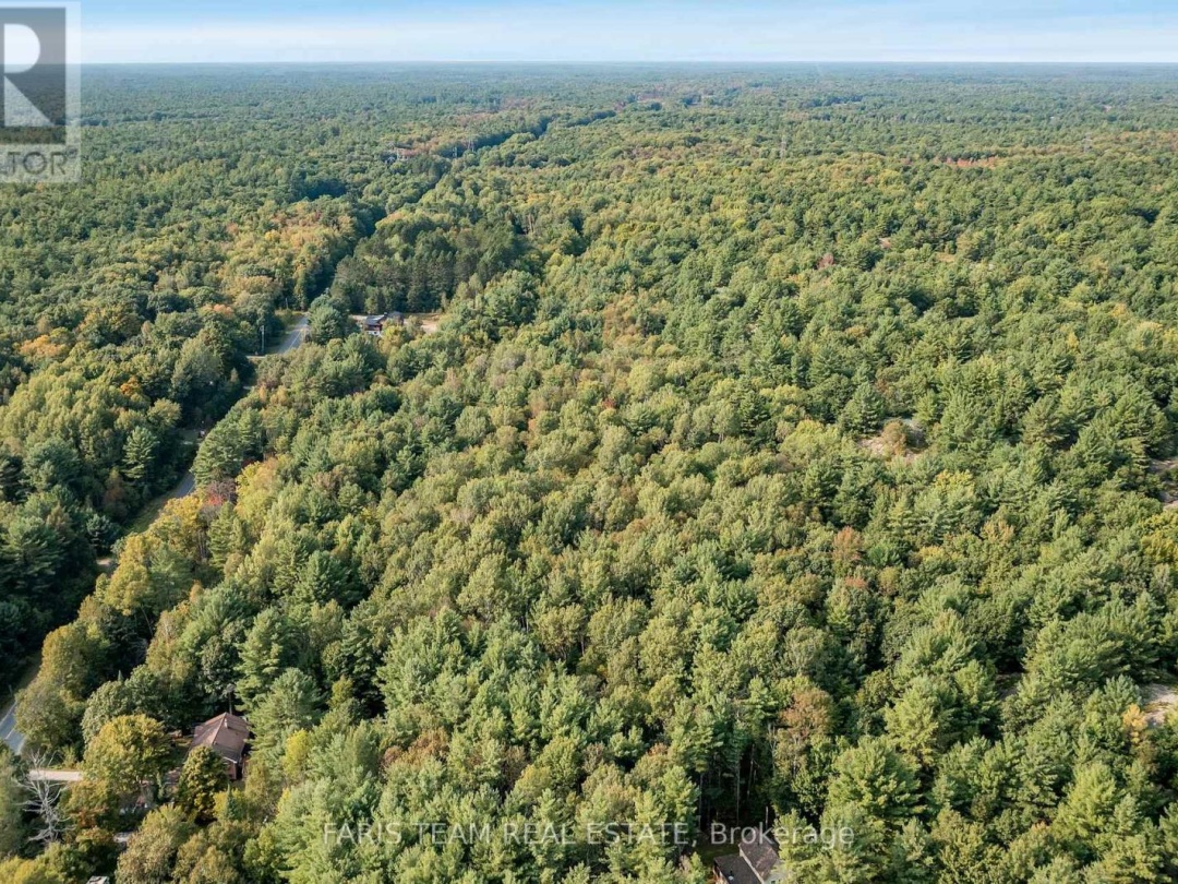 PT LT 3 HOUSEY'S RAPIDS ROAD, Kawartha Lakes (Dalton)