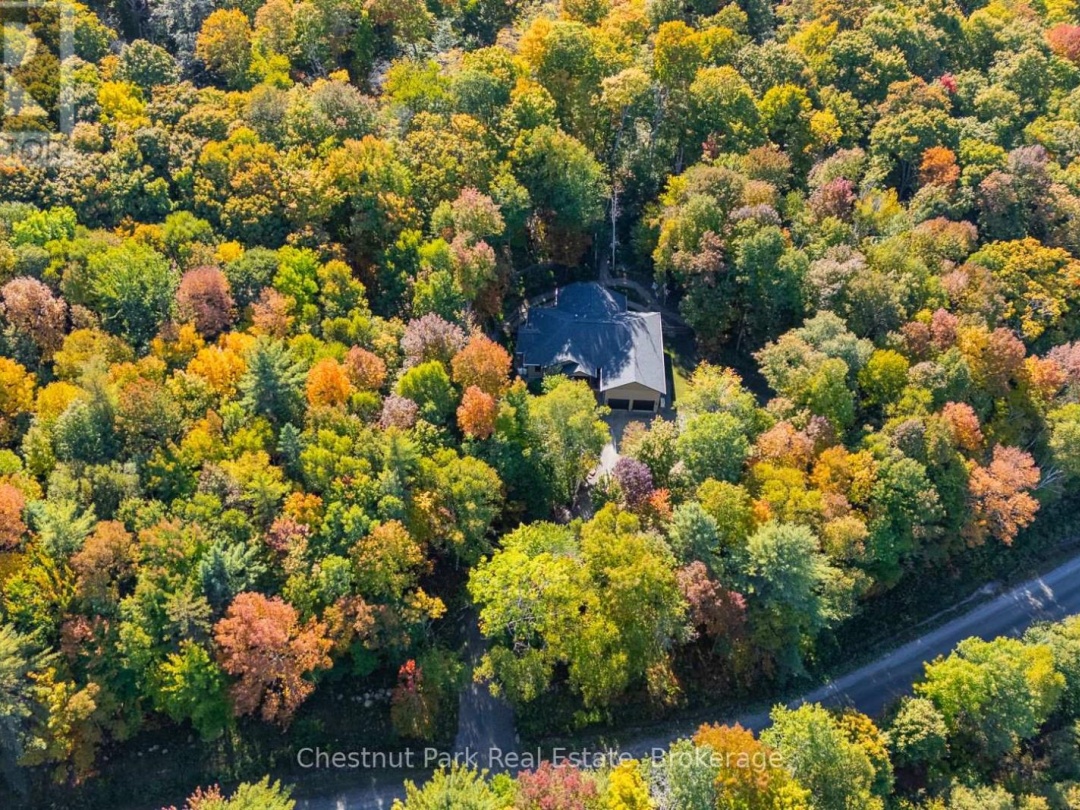 170 SPRINGFIELD ROAD, 